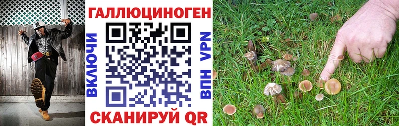дарк нет как зайти  магазин продажи   Сыктывкар  Галлюциногенные грибы Cubensis 